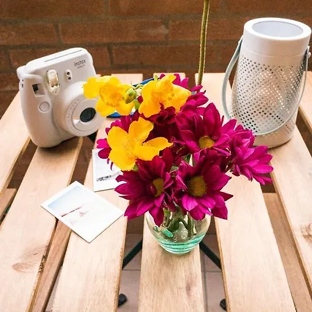 Buro Il Viaggiatore * Parma